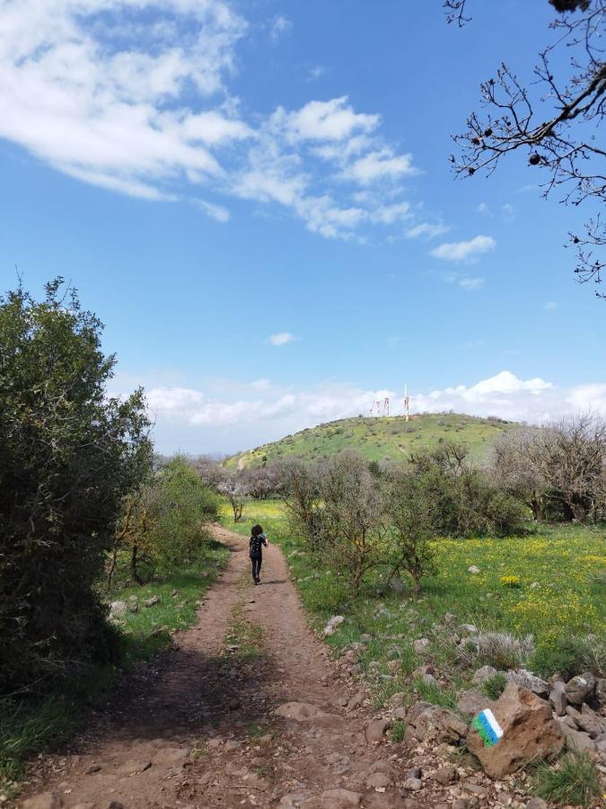 Gate Away Units - באל רום *